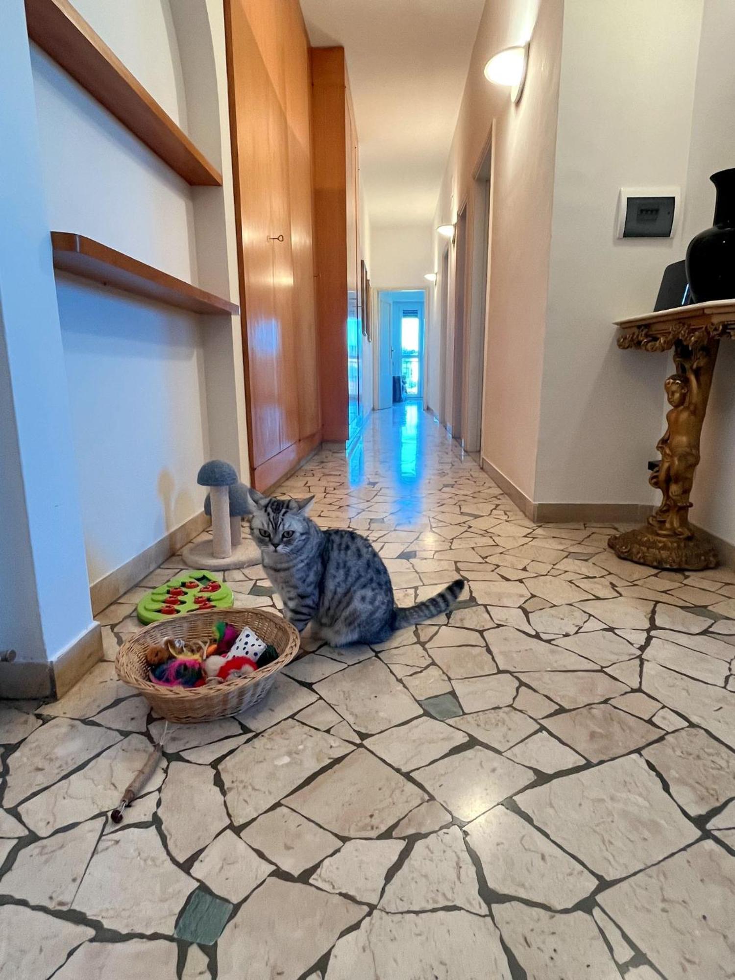 Stanza Singola In Condiviso Hospedagem domiciliar Florença